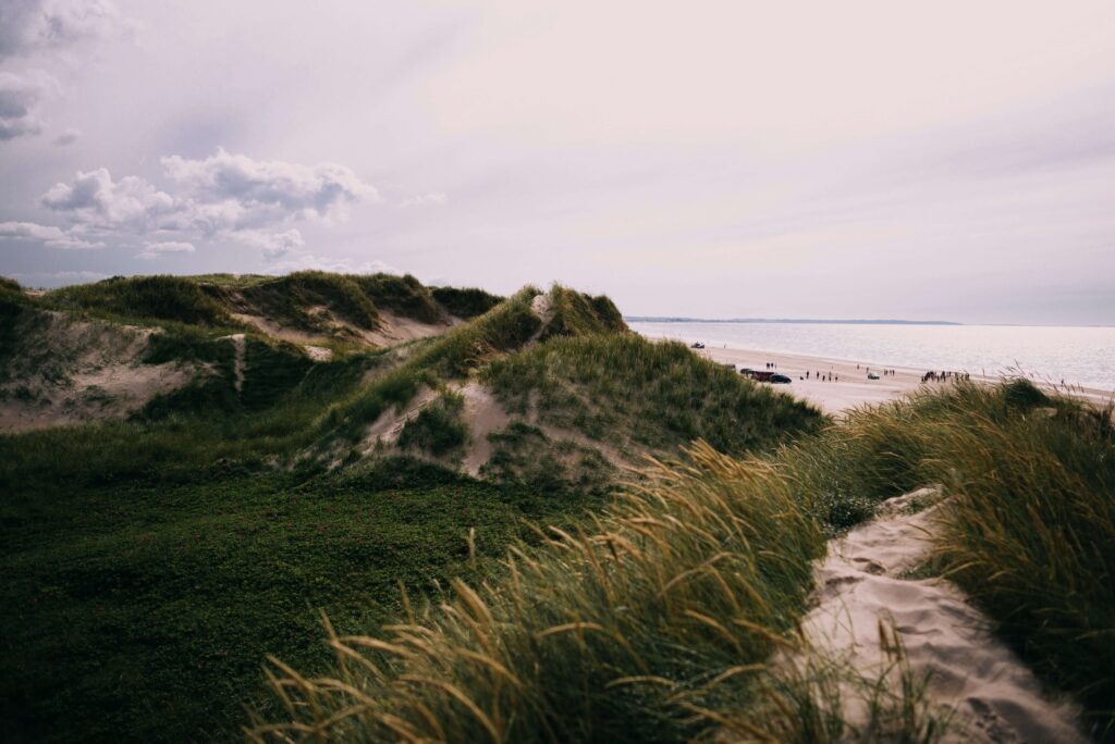 Paysage au Danemark