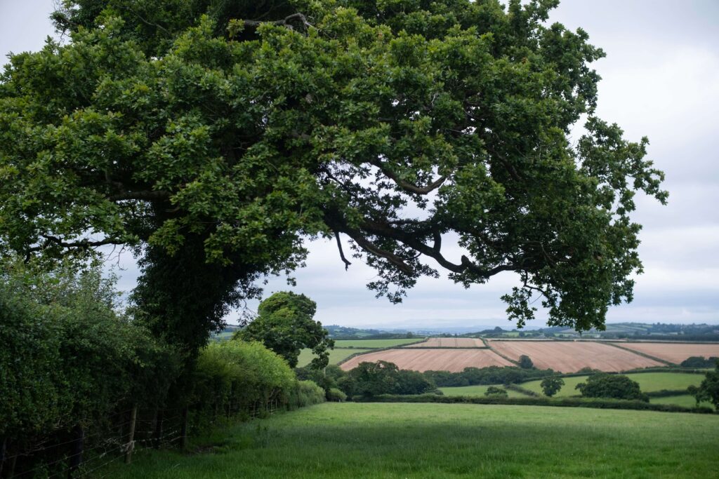 Paysage en Angleterre